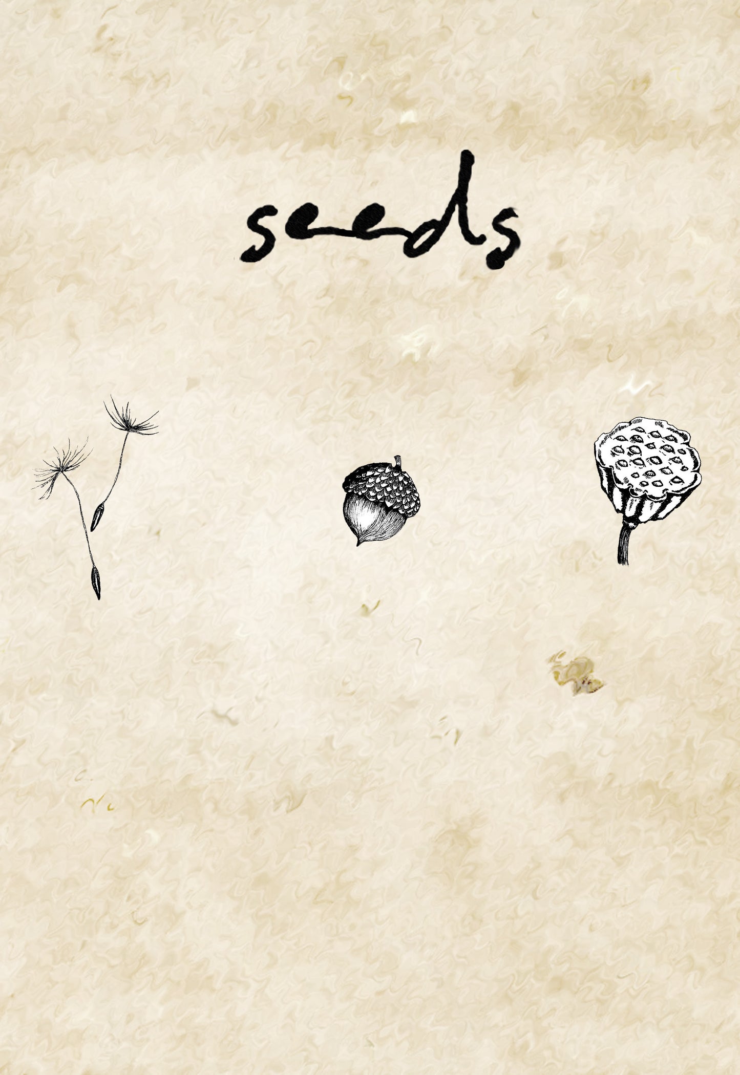 seeds (digital)