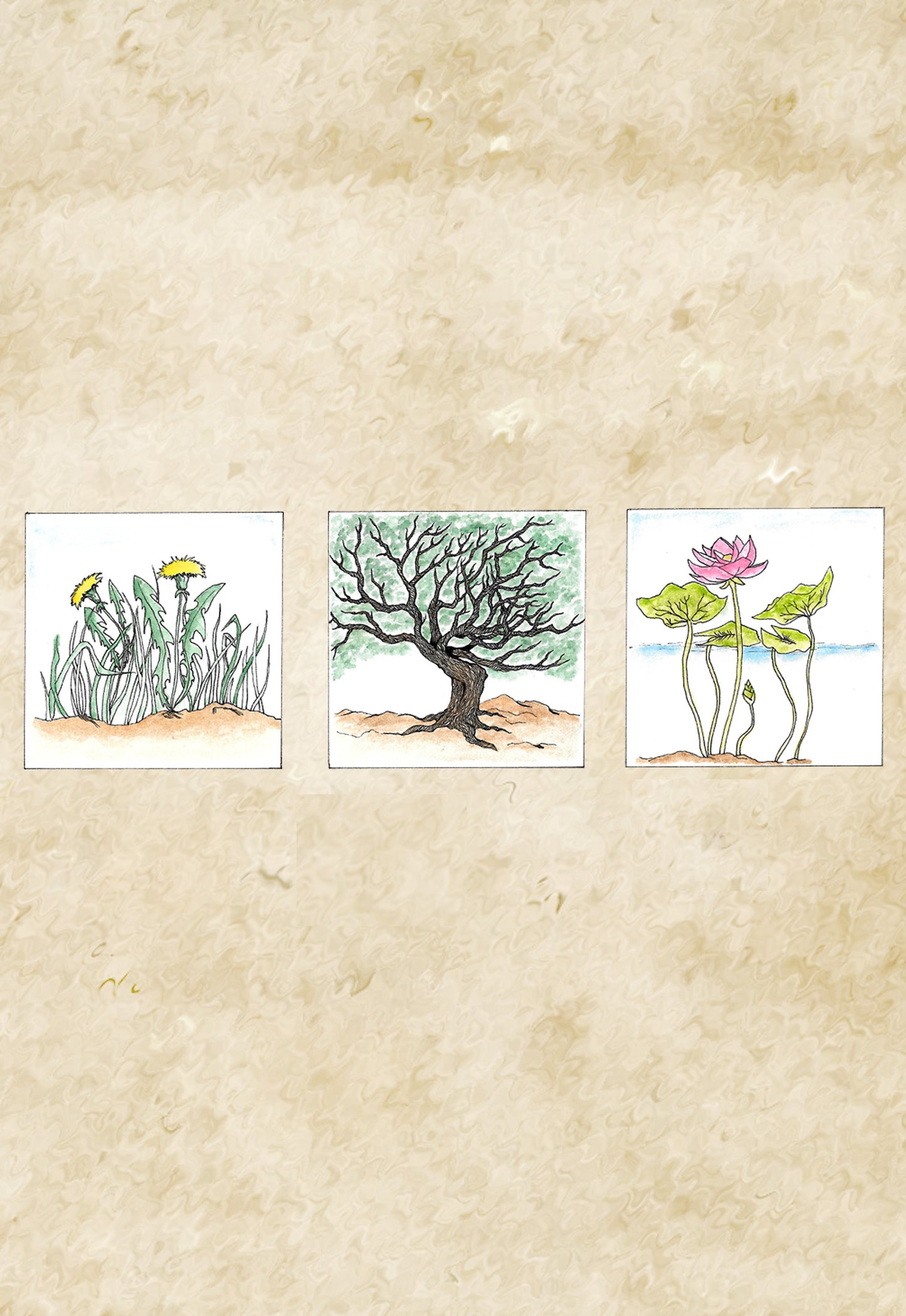 seeds (digital)
