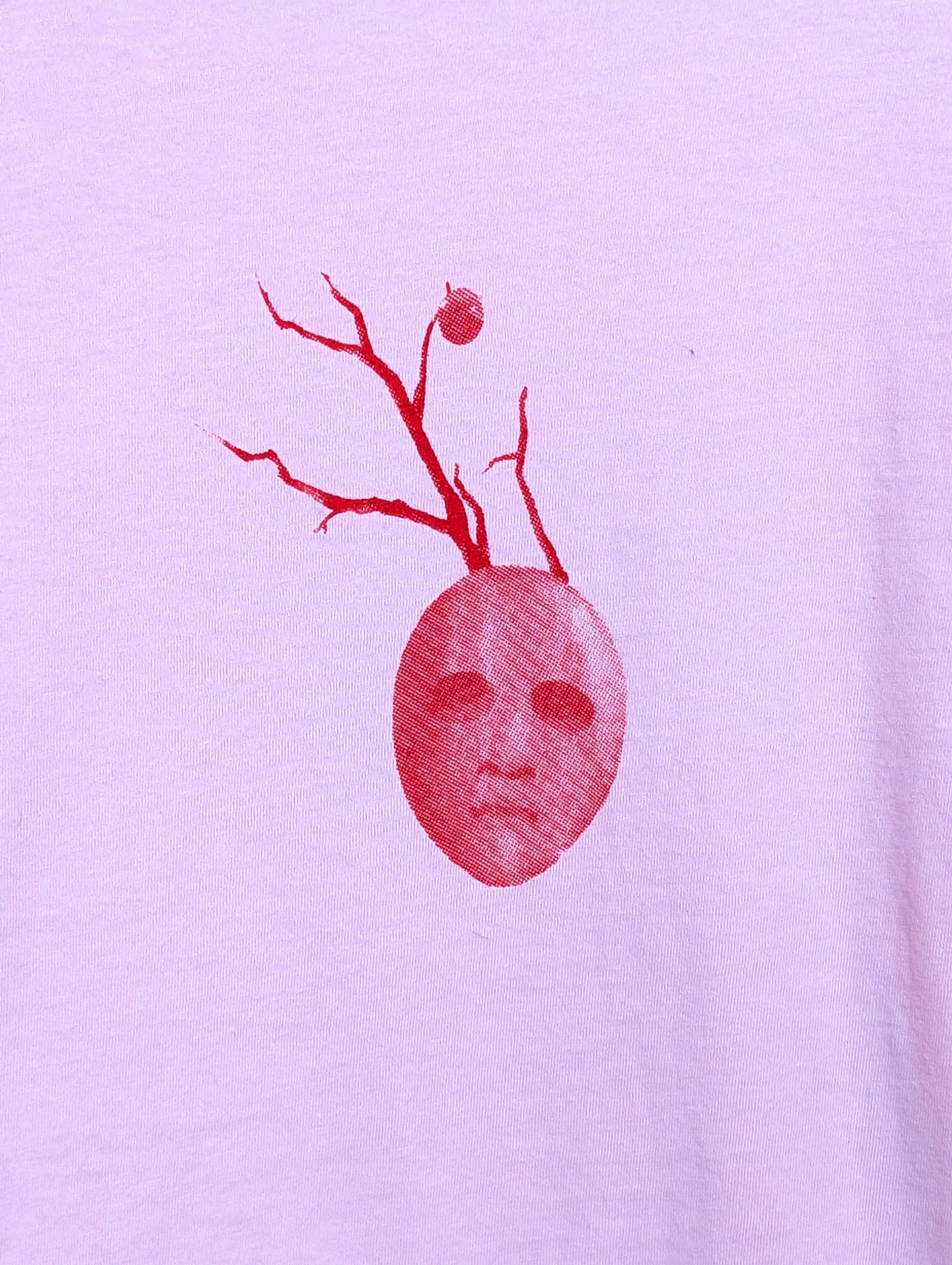 The Essential Fruit Shirt