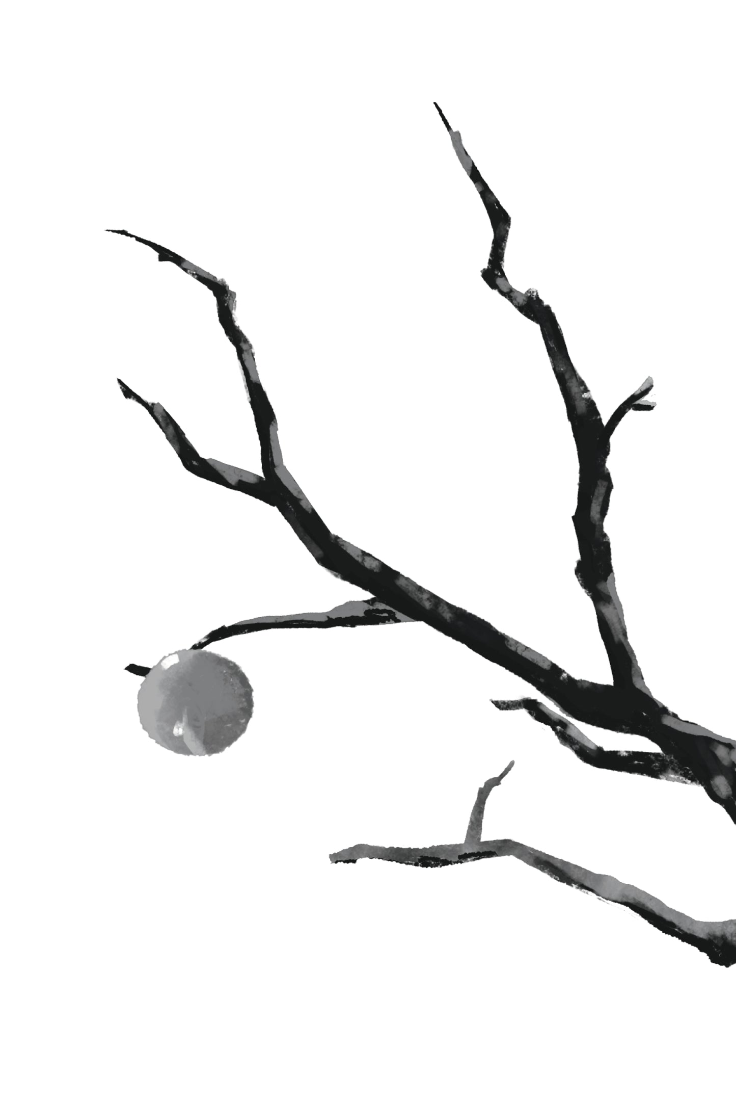 Fruitless... (softcover book and digital album)