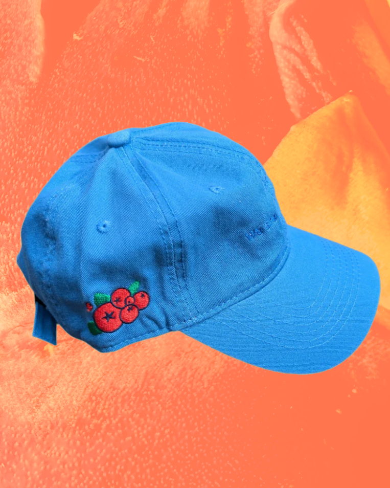 The Essential Fruit Hat