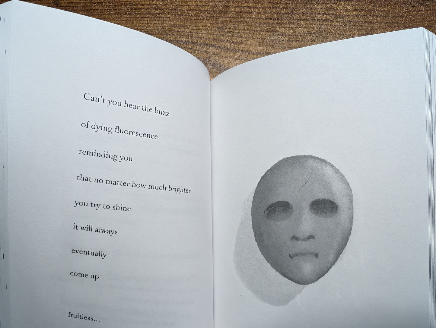 Fruitless... (softcover book and digital album)