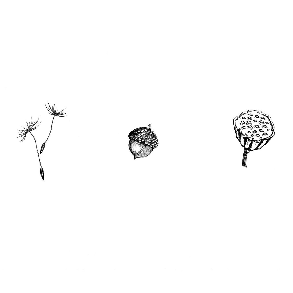 seeds (digital)