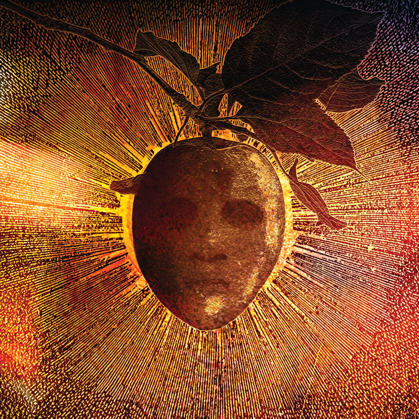 Fruitless... (softcover book and digital album)
