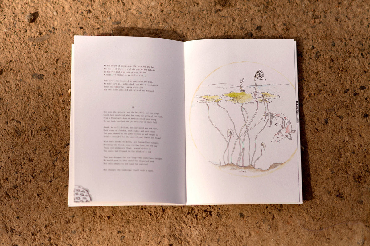 seeds (print booklet and digital album)