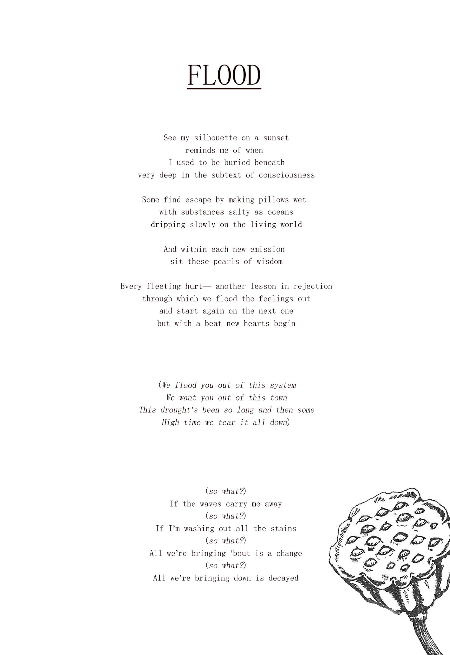 seeds (print booklet and digital album)