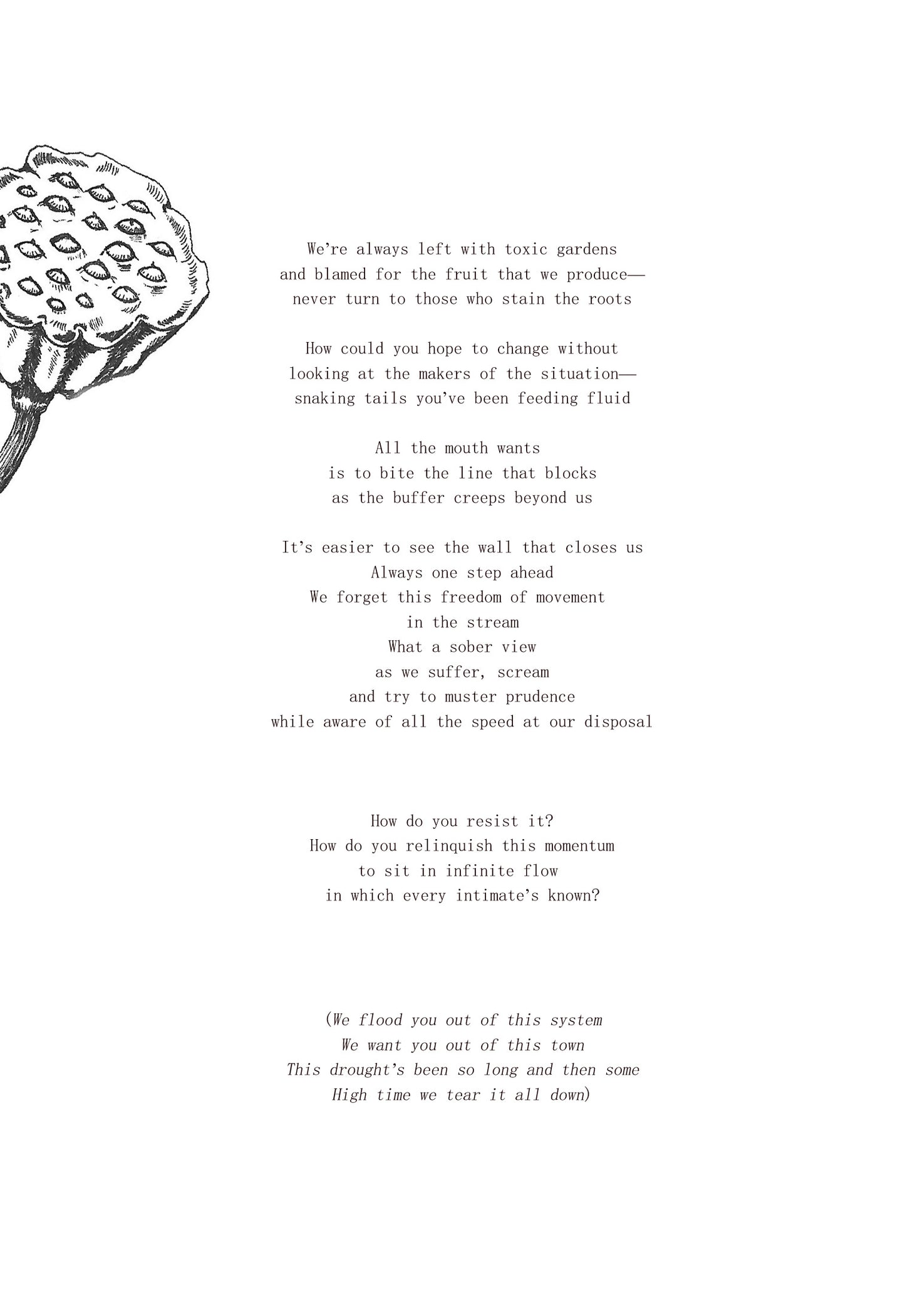 seeds (print booklet and digital album)